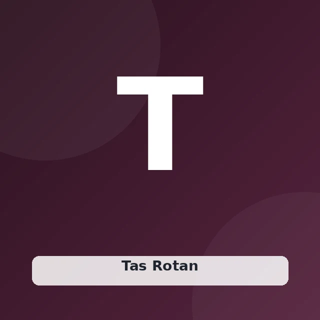 Tas Rotan